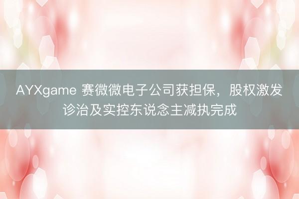 AYXgame 赛微微电子公司获担保，股权激发诊治及实控东说念主减执完成