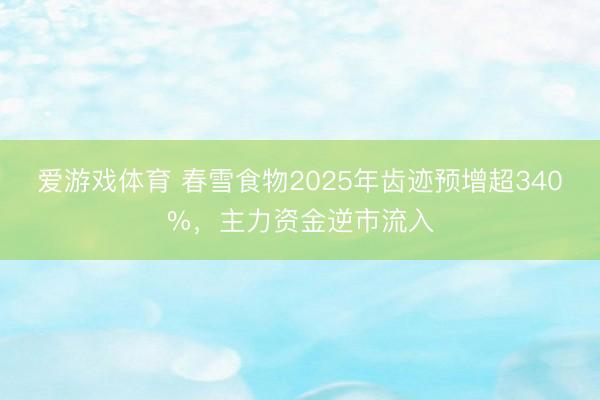 爱游戏体育 春雪食物2025年齿迹预增超340%，主力资金逆市流入