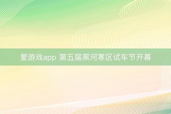 爱游戏app 第五届黑河寒区试车节开幕