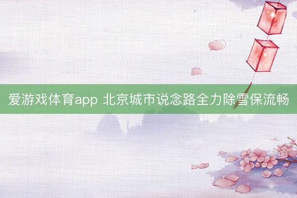 爱游戏体育app 北京城市说念路全力除雪保流畅