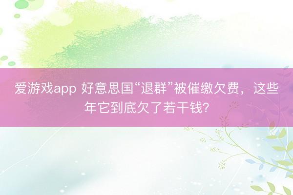 爱游戏app 好意思国“退群”被催缴欠费,这些年它到底欠了若干钱?