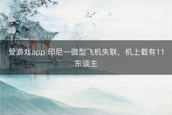 爱游戏app 印尼一微型飞机失联,机上载有11东谈主