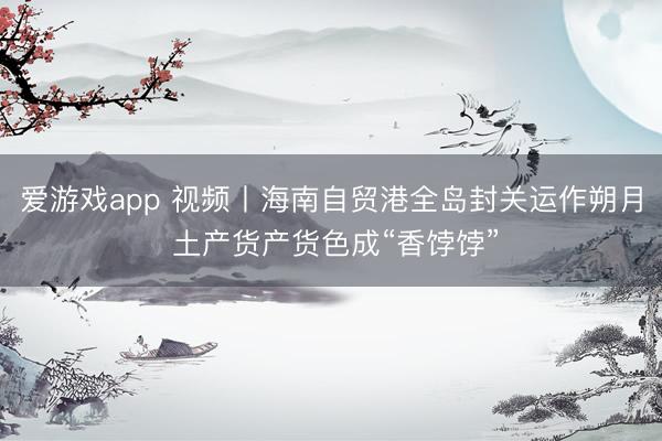 爱游戏app 视频丨海南自贸港全岛封关运作朔月 土产货产货色成“香饽饽”
