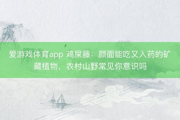爱游戏体育app 鸡屎藤：颜面能吃又入药的矿藏植物，农村山野常见你意识吗