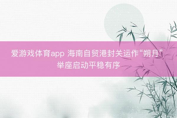 爱游戏体育app 海南自贸港封关运作“朔月” 举座启动平稳有序