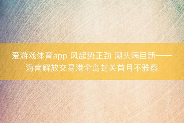 爱游戏体育app 风起势正劲 潮头满目新——海南解放交易港全岛封关首月不雅察