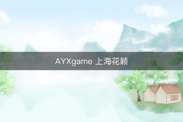 AYXgame 上海花颖