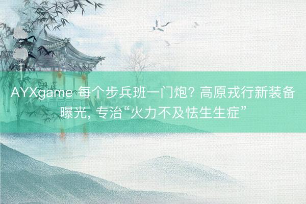 AYXgame 每个步兵班一门炮? 高原戎行新装备曝光， 专治“火力不及怯生生症”