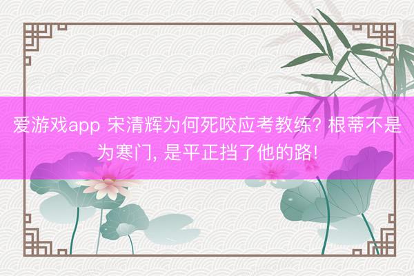 爱游戏app 宋清辉为何死咬应考教练? 根蒂不是为寒门， 是平正挡了他的路!