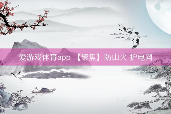 爱游戏体育app 【聚焦】防山火 护电网