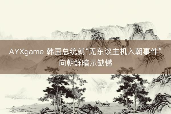 AYXgame 韩国总统就“无东谈主机入朝事件”向朝鲜暗示缺憾