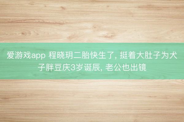 爱游戏app 程晓玥二胎快生了， 挺着大肚子为犬子胖豆庆3岁诞辰，<a href=