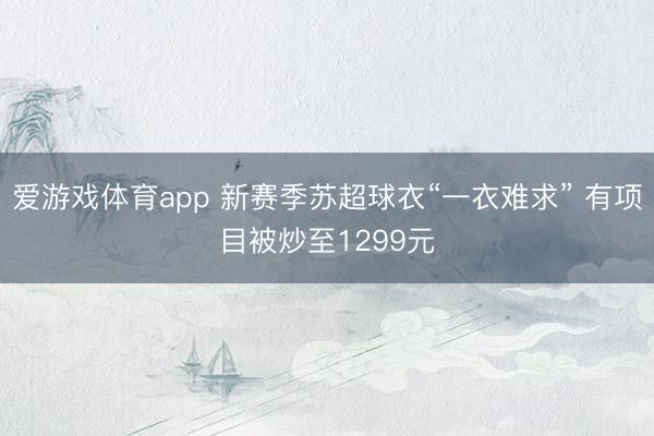 爱游戏体育app 新赛季苏超球衣“一衣难求” 有项目被炒至1299元