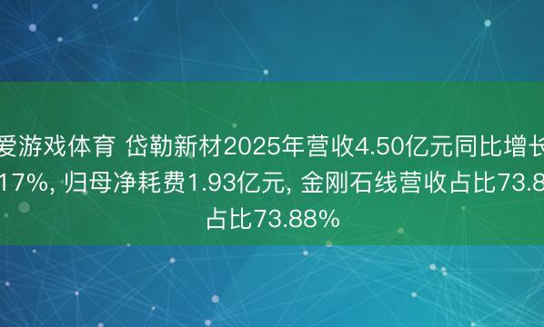 爱游戏体育 岱勒新材2025年营收4.50亿元同比增长25.17%， 归母净耗费1.93亿元， 金刚石线营收占比73.88%