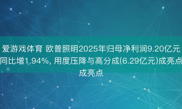 爱游戏体育 欧普照明2025年归母净利润9.20亿元同比增1.94%， 用度压降与高分成(6.29亿元)成亮点