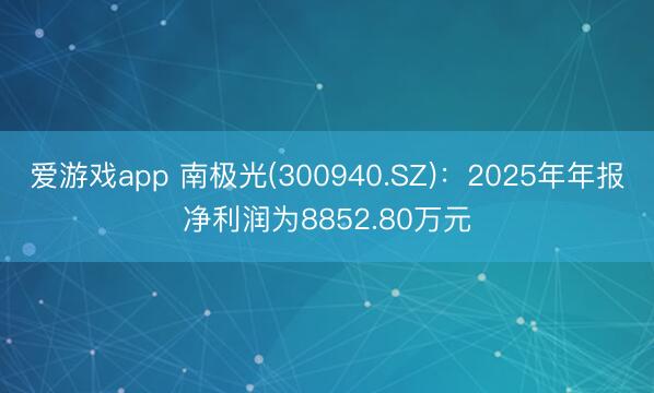 爱游戏app 南极光(300940.SZ)：2025年年报净利润为8852.80万元