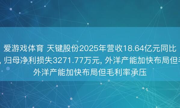 爱游戏体育 天键股份2025年营收18.64亿元同比降16.31%， 归母净利损失3271.77万元， 外洋产能加快布局但毛利率承压
