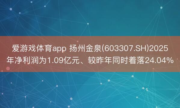 爱游戏体育app 扬州金泉(603307.SH)2025年净利润为1.09亿元、较昨年同时着落24.04%