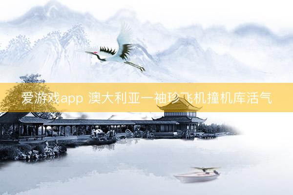 爱游戏app 澳大利亚一袖珍飞机撞机库活气