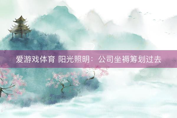 爱游戏体育 阳光照明：公司坐褥筹划过去