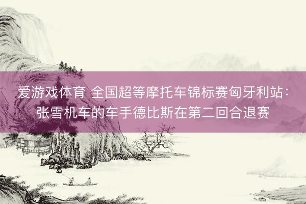 爱游戏体育 全国超等摩托车锦标赛匈牙利站：张雪机车的车手德比斯在第二回合退赛