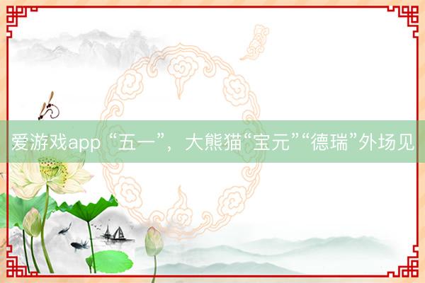 爱游戏app “五一”，大熊猫“宝元”“德瑞”外场见