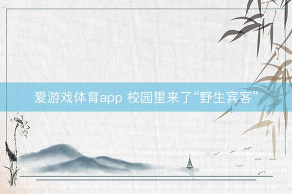 爱游戏体育app 校园里来了“野生宾客”